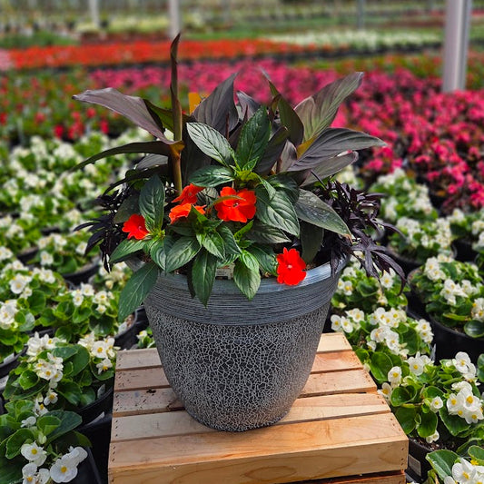 PatioHaven | Orange Burst - Large Patio Container