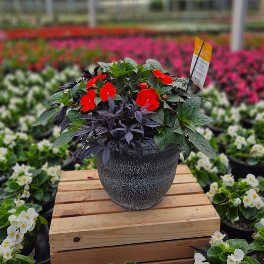 PatioHaven | Orange Burst - Medium Patio Container