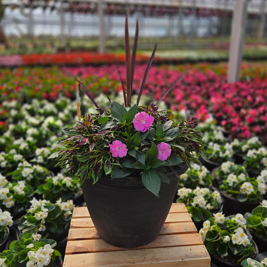 PatioHaven | Pink Flame - Large Patio Container