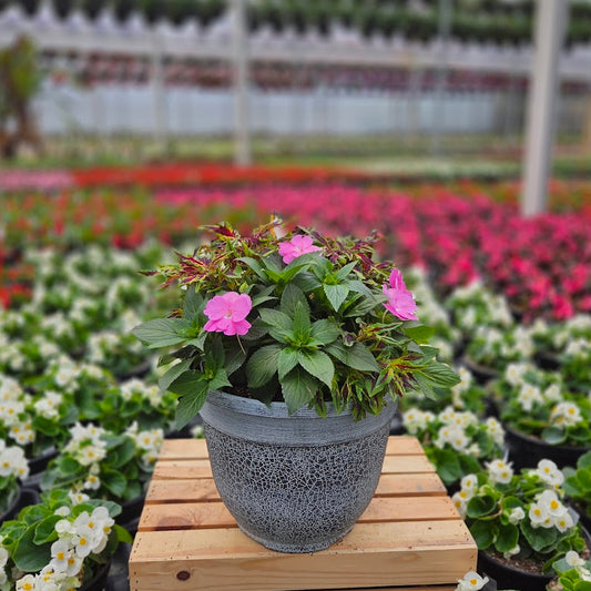PatioHaven | Pink Flame - Medium Patio Container