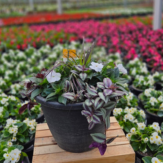 PatioHaven | White Shadow - Large Patio Container