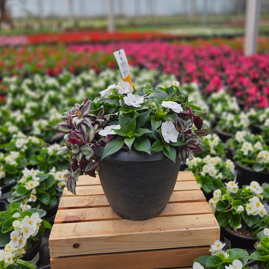 PatioHaven | White Shadow - Medium Patio Container
