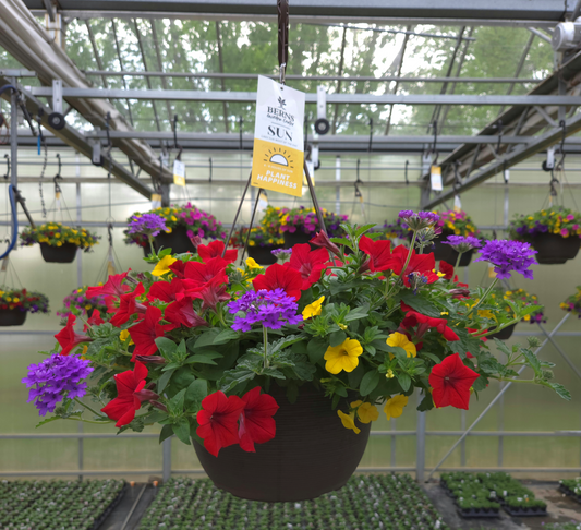 ColorWave | Playtime - Large Hanging Basket