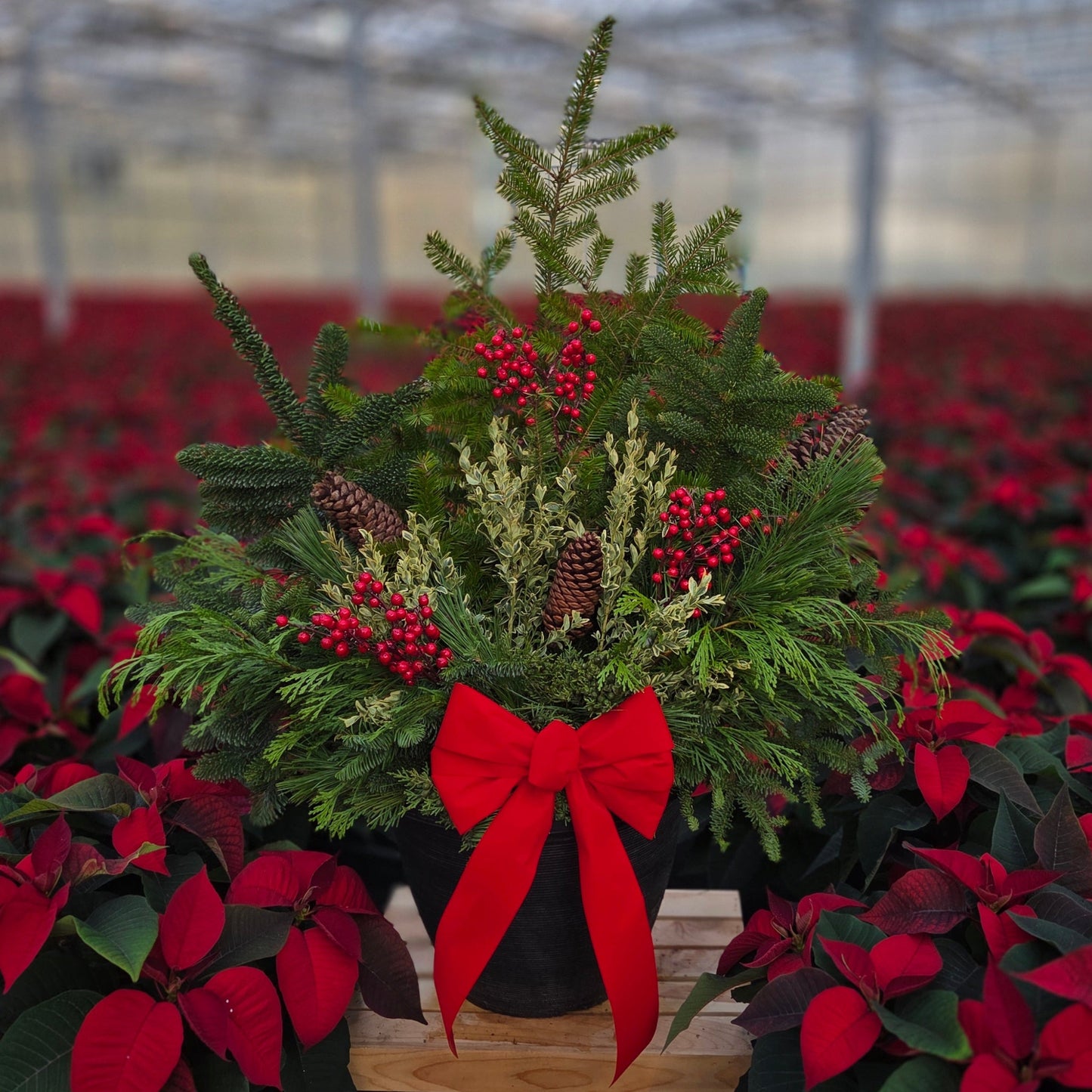 HolidayScape | Traditional Tidings - Large Patio Container