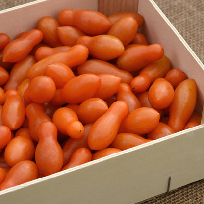 Tomato | Cherry | Sun Dipper - 1 Pint