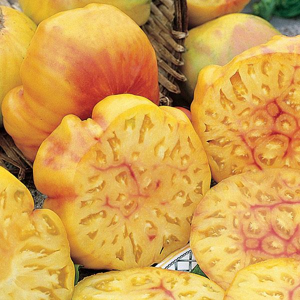 Tomato | Heirloom | Big Rainbow - 1 Pint