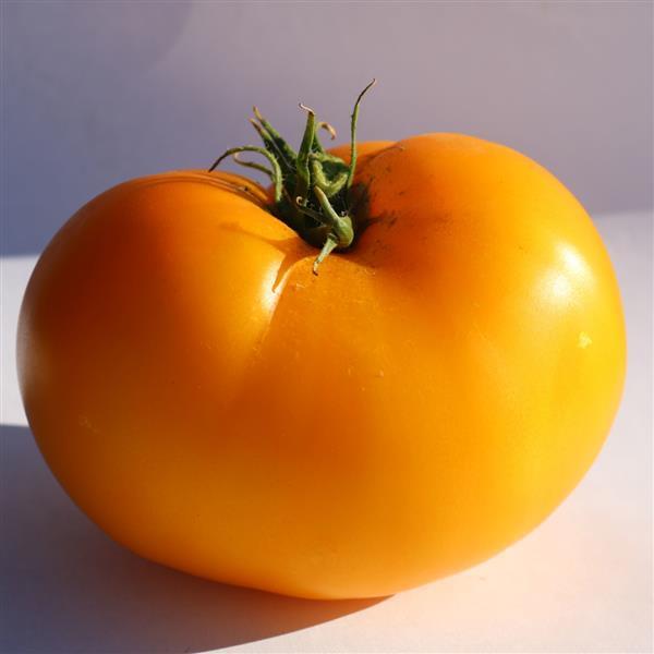 Tomato | Slicer | Lemon Boy - 1 Gallon