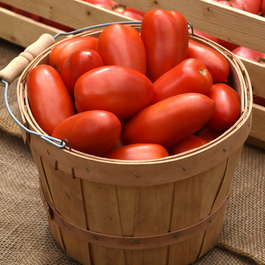 Tomato | Sauce/Saladette | La Roma - 1 Gallon