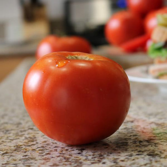 Tomato | Slicer | Celebrity - 4 Pack