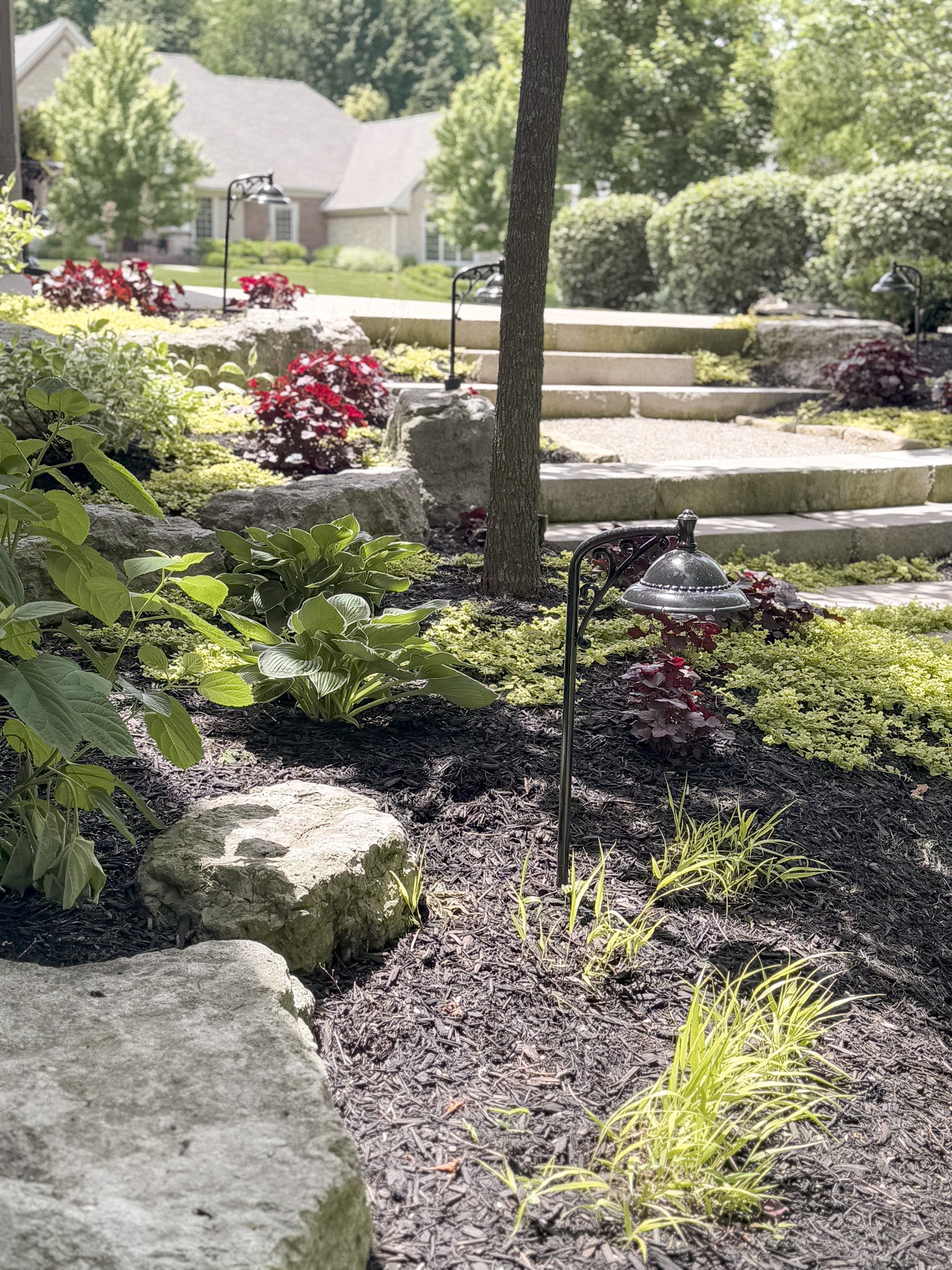 Garden with plants, rocks, and a bird feeder in a residential area.