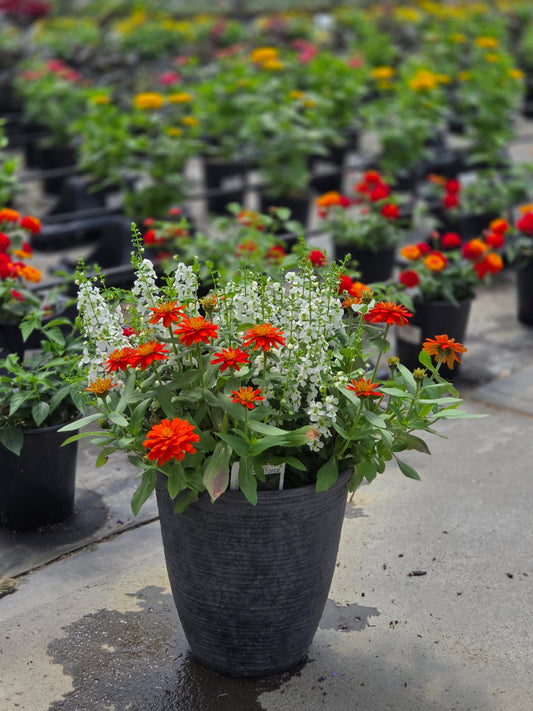 PatioTribute | Legacy Glow - Small Patio Container