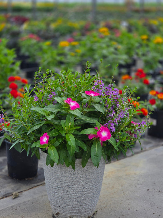 PatioTribute | Halo of Valor - Small Patio Container